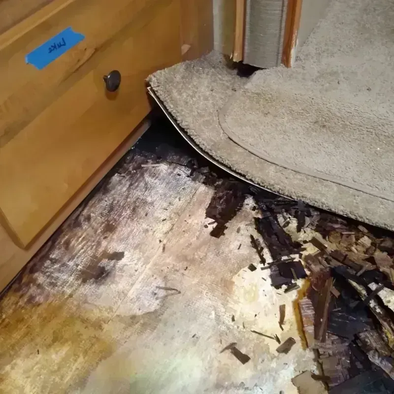 Wood Floor Water Damage in Girdwood, AK